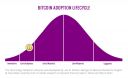 17-bitcoin-adoption~0.jpg