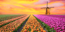 Filename=Blog_620x310_400062880_9_10_16-620x310.png
Filesize=323KiB
Dimensions=620x310
Date added=Nov 19, 2017 Blog_620x310_400062880_9_10_16-620x310.png