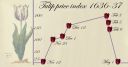 Filename=tulip_mania.jpg
Filesize=252KiB
Dimensions=884x464
Date added=Nov 19, 2017 tulip_mania.jpg